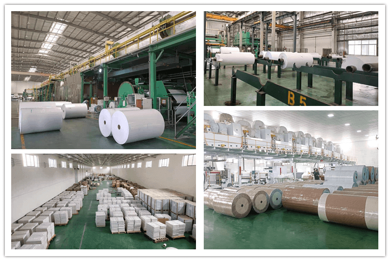 direct thermal label jumbo roll b